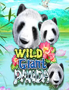 mm88fc บา ค่า ร่าฝาก 60 รับ 200 สล็อต 681 สนุกเกินคาด